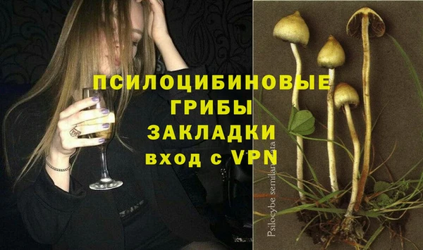 соль ск Новозыбков