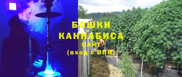 соль ск Новозыбков