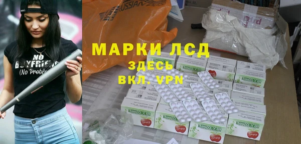 соль ск Новозыбков