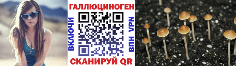 Галлюциногенные грибы Cubensis  kraken вход  Ржев 