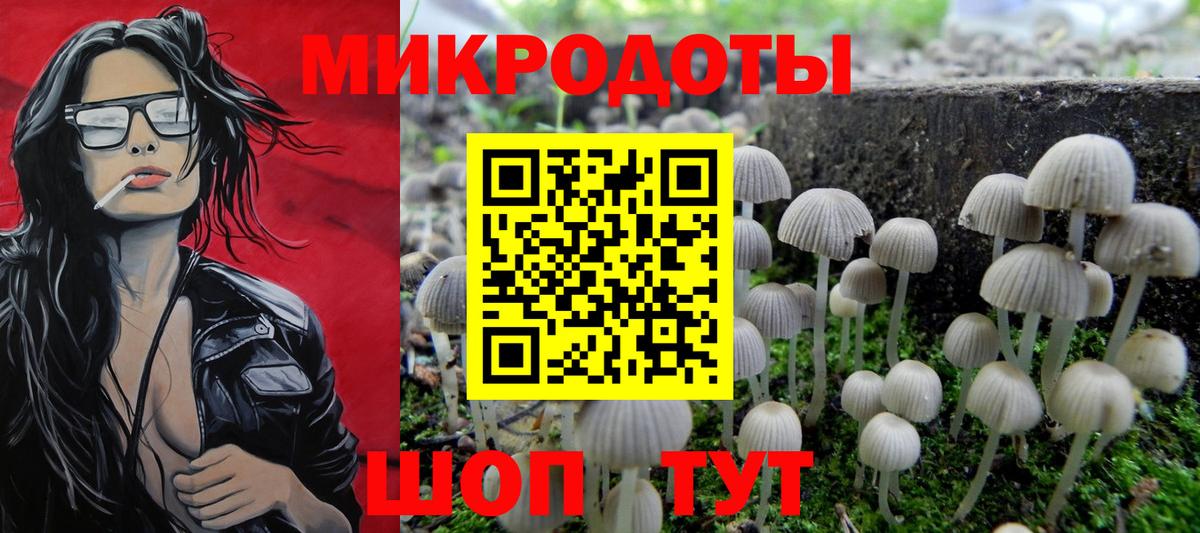 Галлюциногенные грибы Cubensis Ржев