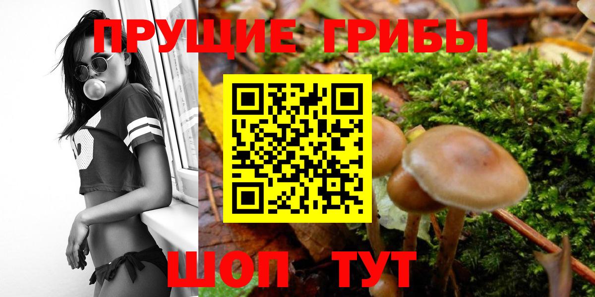 Ржев  Галлюциногенные грибы мухоморы  Вход с VPN 